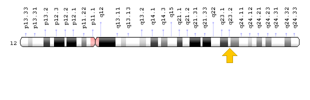 localisation-du-gene-pah