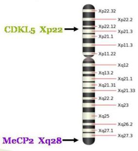 textfinalderett3