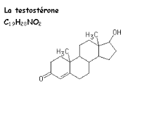 tstosterone
